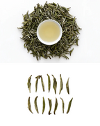 Silver Needle (Bai Hao Yin Zhen) White Tea, 100g